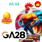 i8bet Game 06